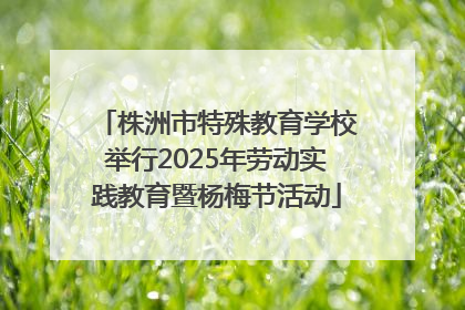 株洲市特殊教育学校举行2025年劳动实践教育暨杨梅节活动