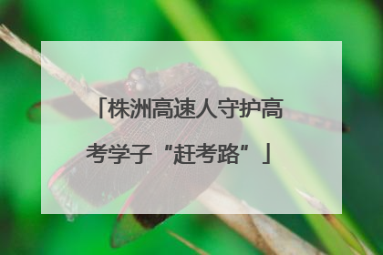 株洲高速人守护高考学子“赶考路”