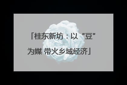 桂东新坊：以“豆”为媒 带火乡域经济