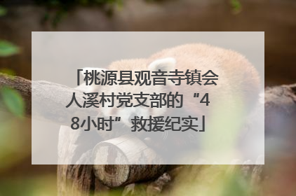 桃源县观音寺镇会人溪村党支部的“48小时”救援纪实
