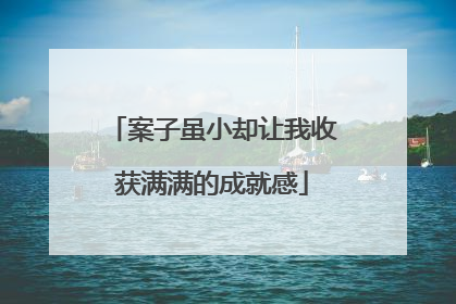 案子虽小却让我收获满满的成就感
