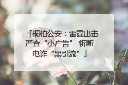 桐柏公安：雷霆出击严查“小广告” 斩断电诈“黑引流”