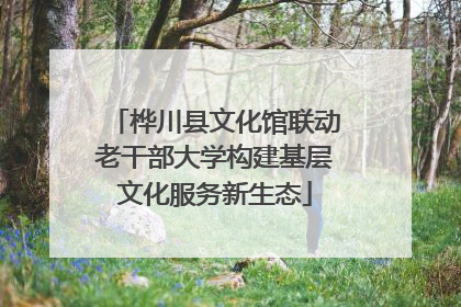 桦川县文化馆联动老干部大学构建基层文化服务新生态