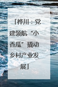 桦川：党建领航“小香瓜”撬动乡村产业发展