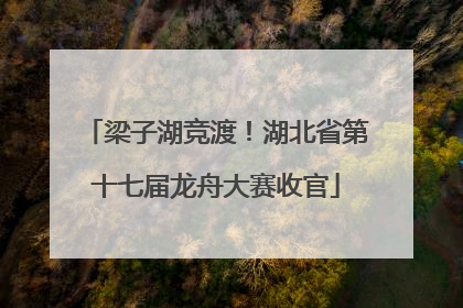 梁子湖竞渡！湖北省第十七届龙舟大赛收官
