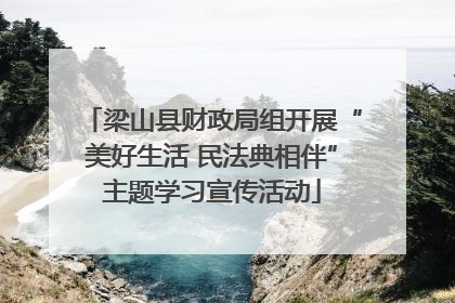 梁山县财政局组开展“美好生活 民法典相伴”主题学习宣传活动