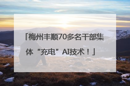 梅州丰顺70多名干部集体“充电”AI技术！