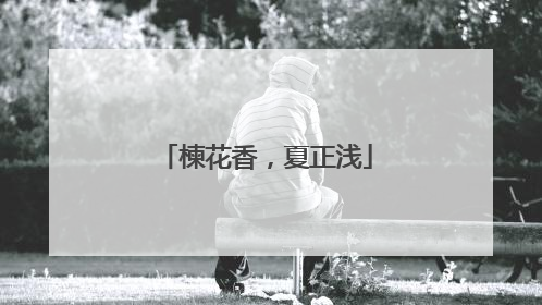 楝花香，夏正浅