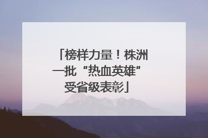 榜样力量！株洲一批“热血英雄”受省级表彰