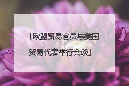 欧盟贸易官员与美国贸易代表举行会谈