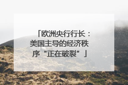 欧洲央行行长：美国主导的经济秩序“正在破裂”