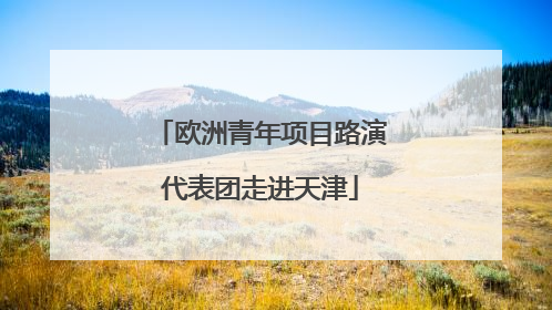 欧洲青年项目路演代表团走进天津
