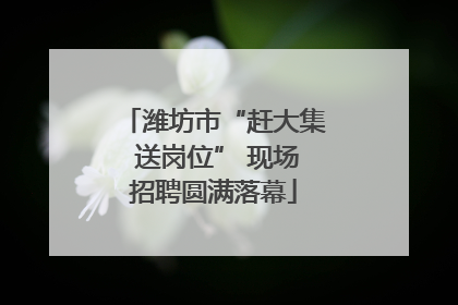 潍坊市“赶大集 送岗位” 现场招聘圆满落幕