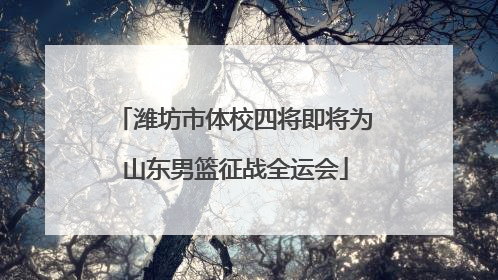 潍坊市体校四将即将为山东男篮征战全运会