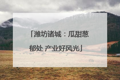 潍坊诸城：瓜甜葱郁处 产业好风光