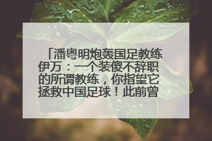 潘粤明炮轰国足教练伊万：一个装傻不辞职的所谓教练，你指望它拯救中国足球！此前曾多次发文评价国足