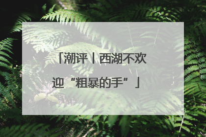 潮评丨西湖不欢迎“粗暴的手”