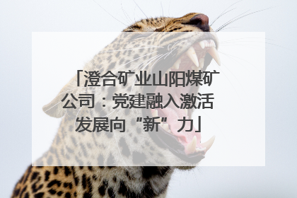 澄合矿业山阳煤矿公司：党建融入激活发展向“新”力