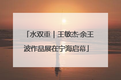 水双重｜王敏杰·余王波作品展在宁海启幕