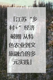 江苏“乡村+”经济破圈 从特色农业到文旅融合的多元实践