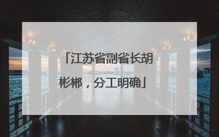 江苏省副省长胡彬郴，分工明确