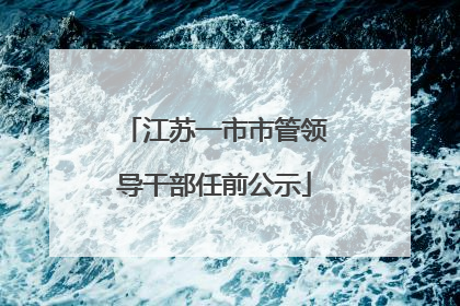 江苏一市市管领导干部任前公示