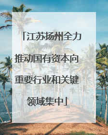 江苏扬州全力推动国有资本向重要行业和关键领域集中