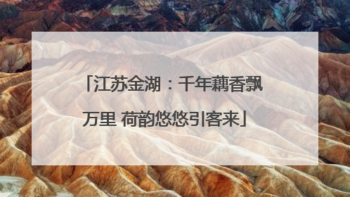 江苏金湖：千年藕香飘万里 荷韵悠悠引客来