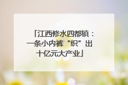 江西修水四都镇：一条小内裤“织”出十亿元大产业