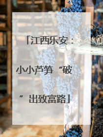 江西乐安：小小芦笋“破”出致富路