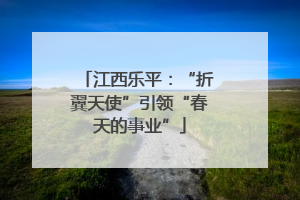 江西乐平：“折翼天使”引领“春天的事业”