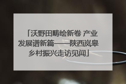 沃野田畴绘新卷 产业发展谱新篇——陕西岚皋乡村振兴走访见闻