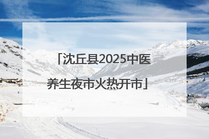 沈丘县2025中医养生夜市火热开市