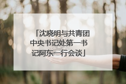 沈晓明与共青团中央书记处第一书记阿东一行会谈