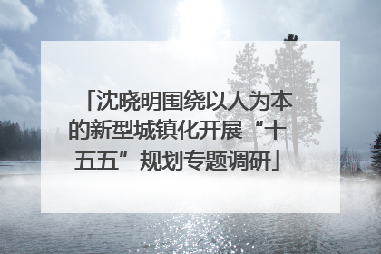 沈晓明围绕以人为本的新型城镇化开展“十五五”规划专题调研