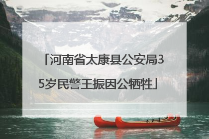 河南省太康县公安局35岁民警王振因公牺牲