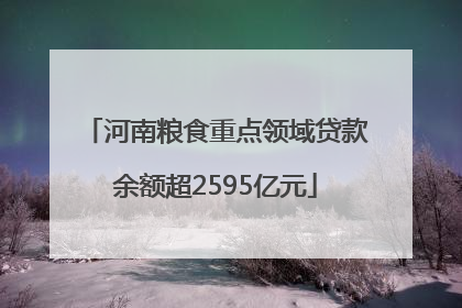 河南粮食重点领域贷款余额超2595亿元