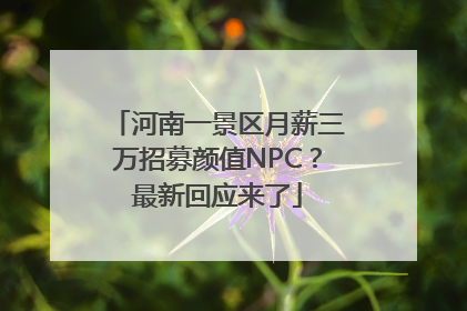 河南一景区月薪三万招募颜值NPC？最新回应来了