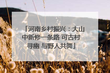 河南乡村振兴：大山中新修一条路 可古村寻幽 与野人共舞