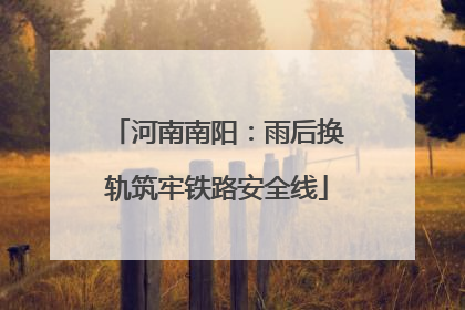 河南南阳：雨后换轨筑牢铁路安全线