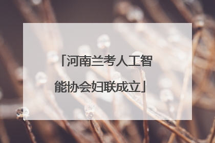 河南兰考人工智能协会妇联成立
