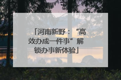 河南新野：“高效办成一件事”解锁办事新体验