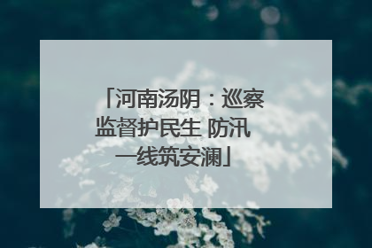 河南汤阴：巡察监督护民生 防汛一线筑安澜