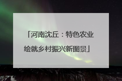 河南沈丘：特色农业绘就乡村振兴新图景