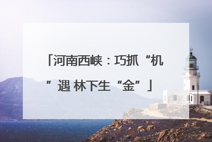 河南西峡：巧抓“机”遇 林下生“金”