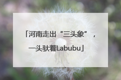 河南走出“三头象”，一头驮着Labubu