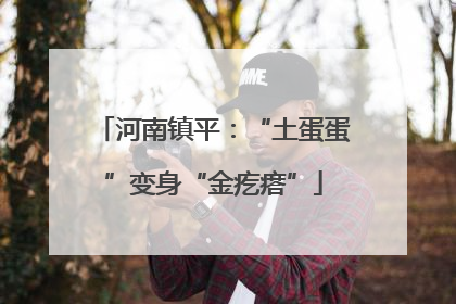 河南镇平：“土蛋蛋”变身“金疙瘩”