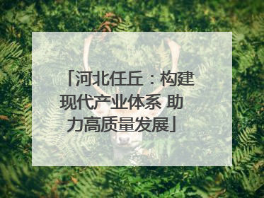 河北任丘：构建现代产业体系 助力高质量发展