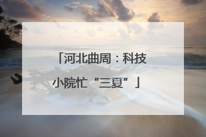 河北曲周：科技小院忙“三夏”
