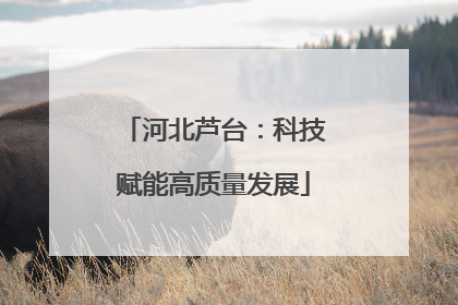 河北芦台：科技赋能高质量发展